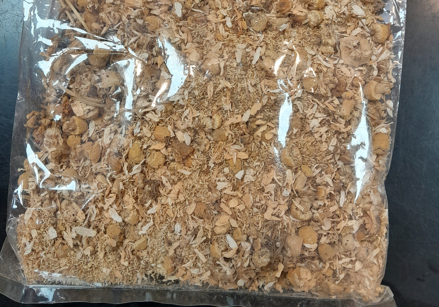 Feuilles sèchées