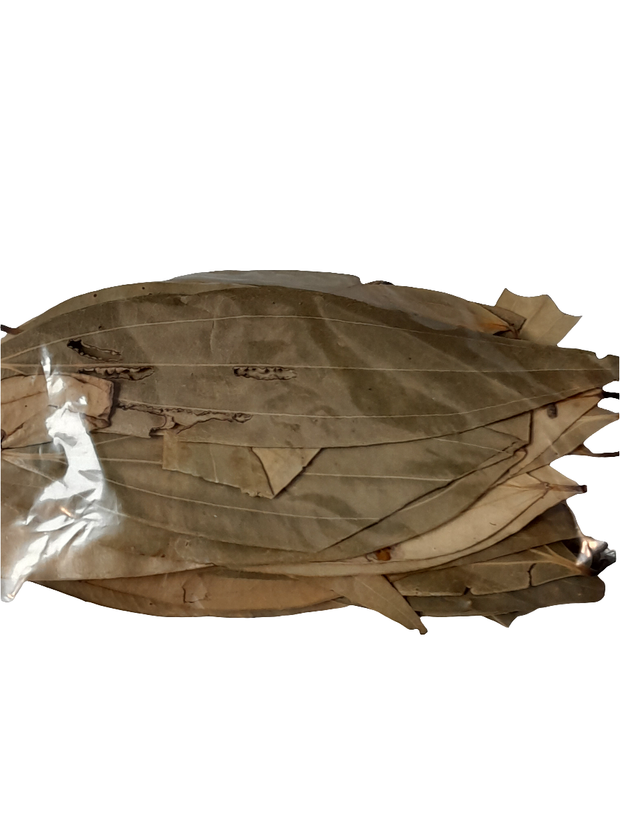 Feuilles sèchées