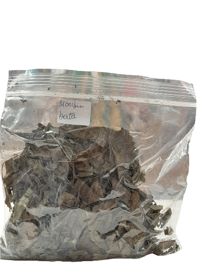 Feuilles sèchées