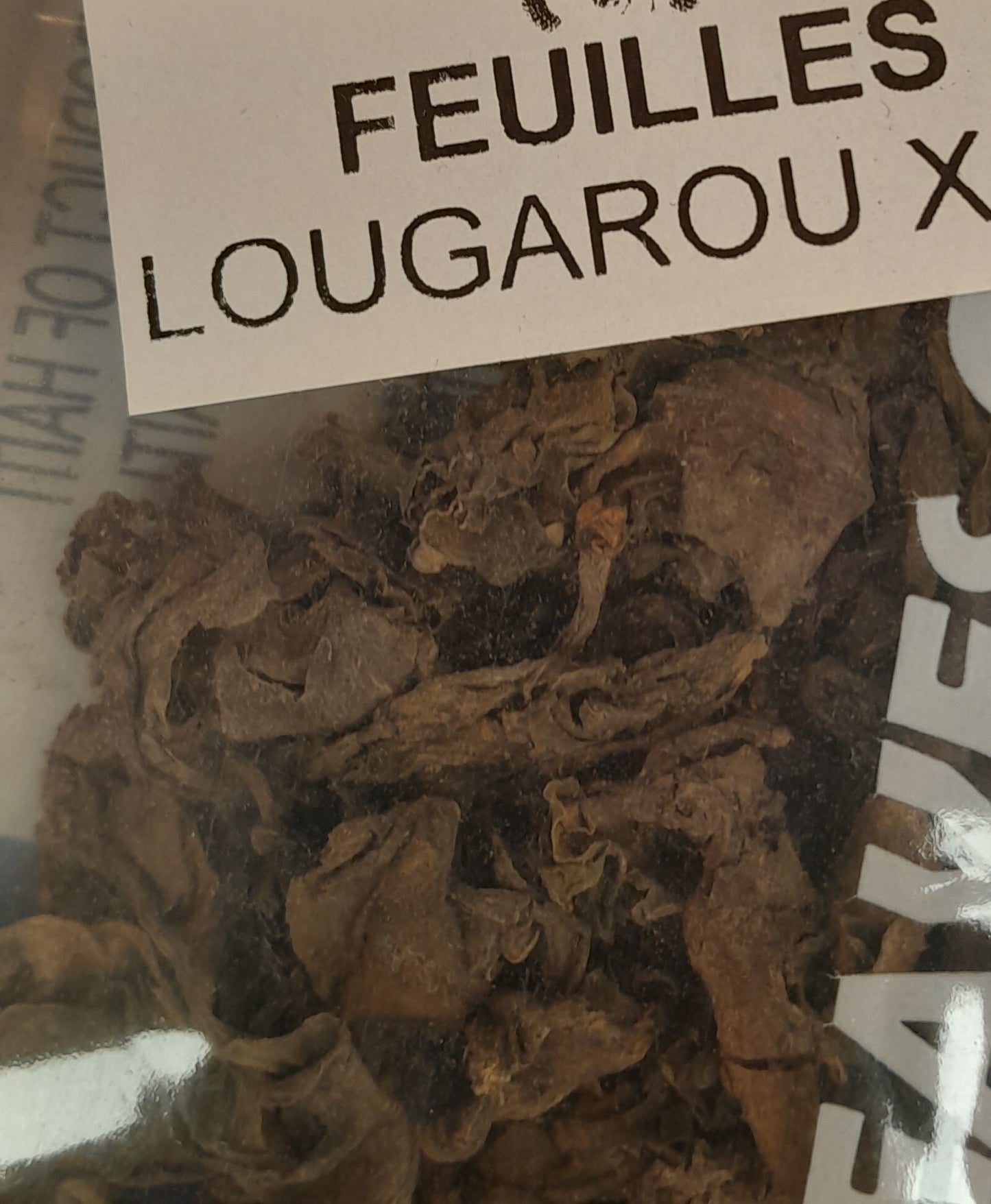 Feuilles sèchées