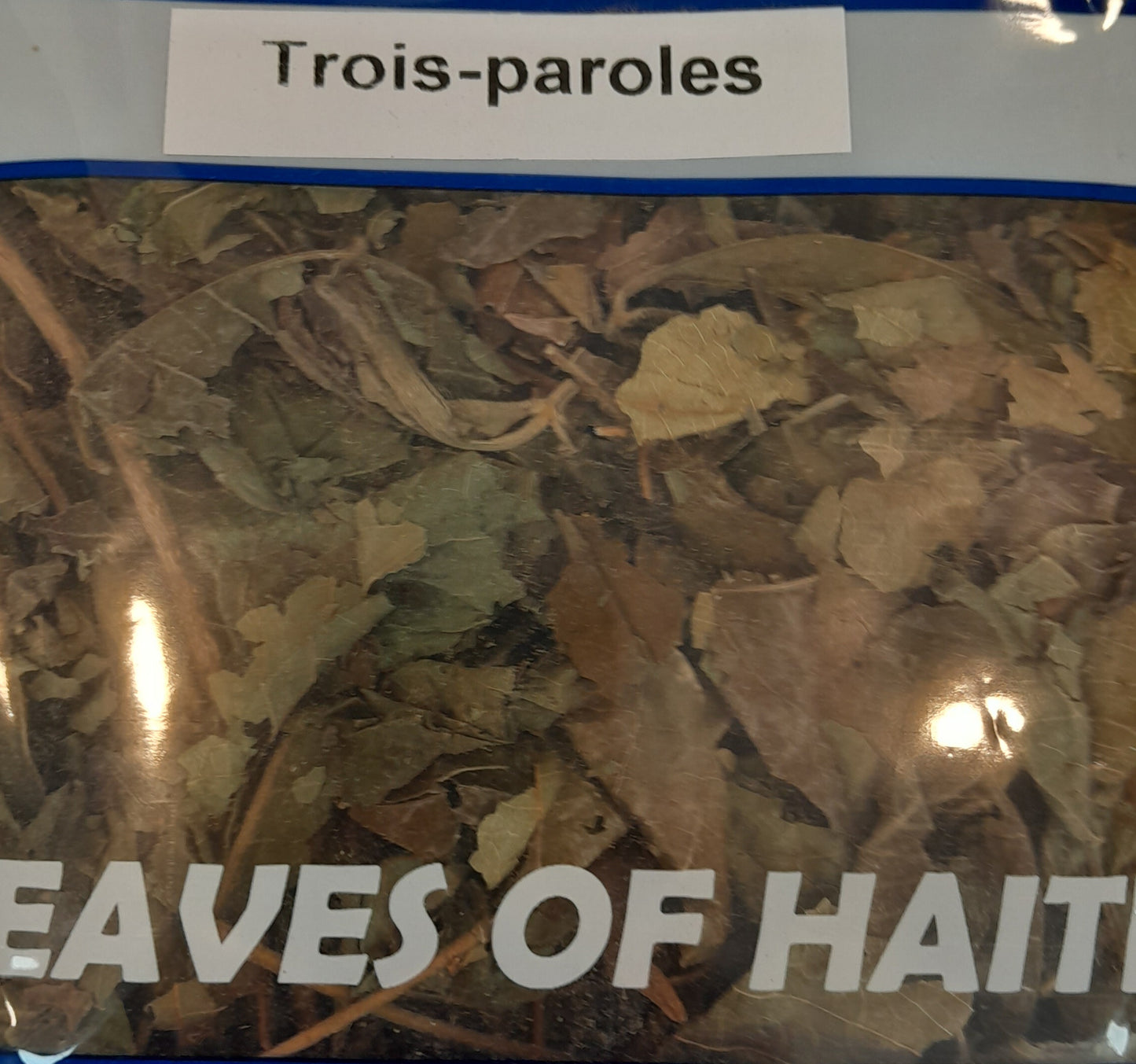 Feuilles sèchées