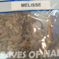 Feuilles sèchées